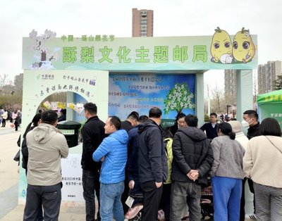 碭山郵政全方位服務梨花節，企業郵局展擔當